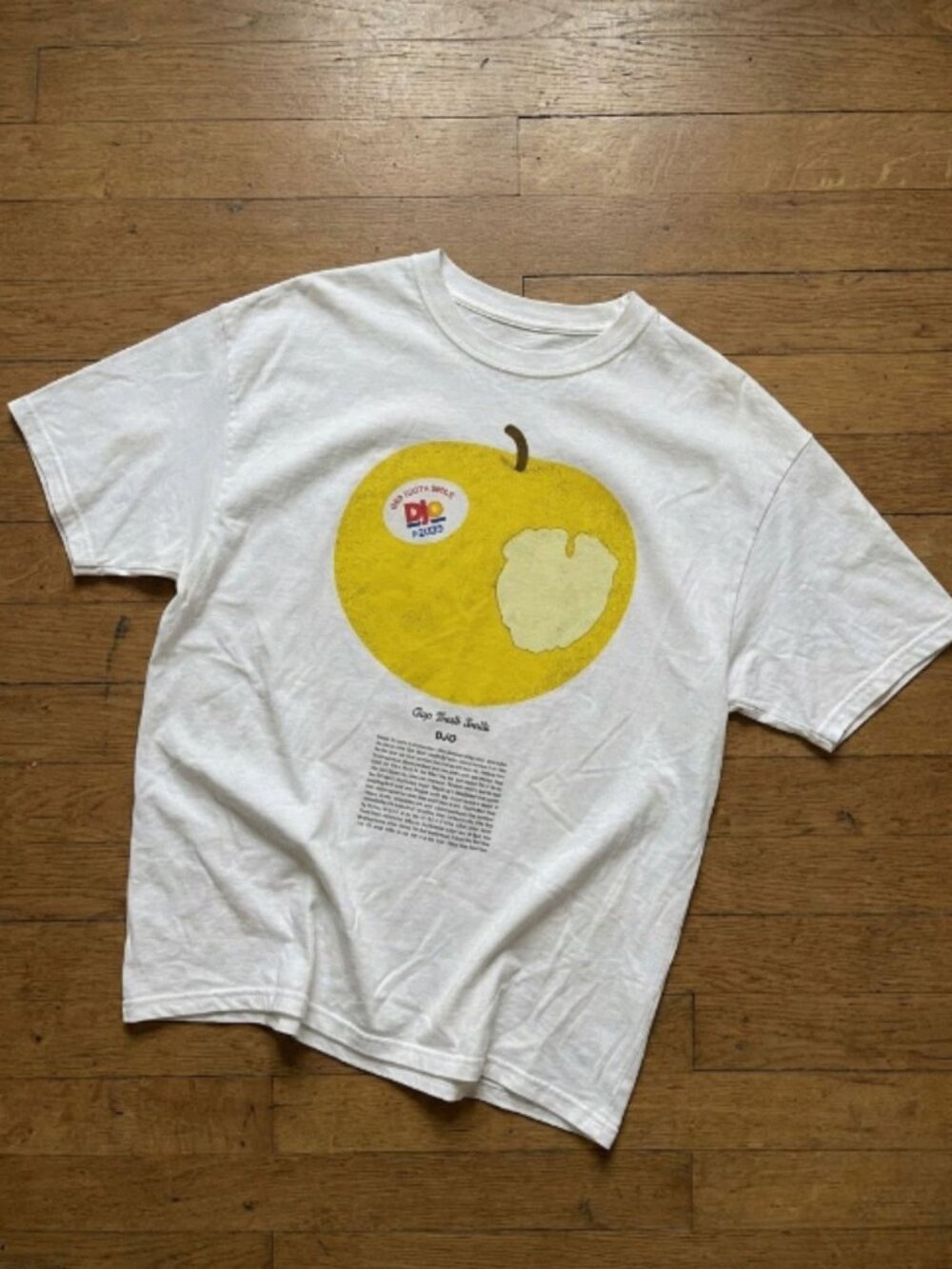 Djo Summer Tour US 2026 T-Shirt Reprint